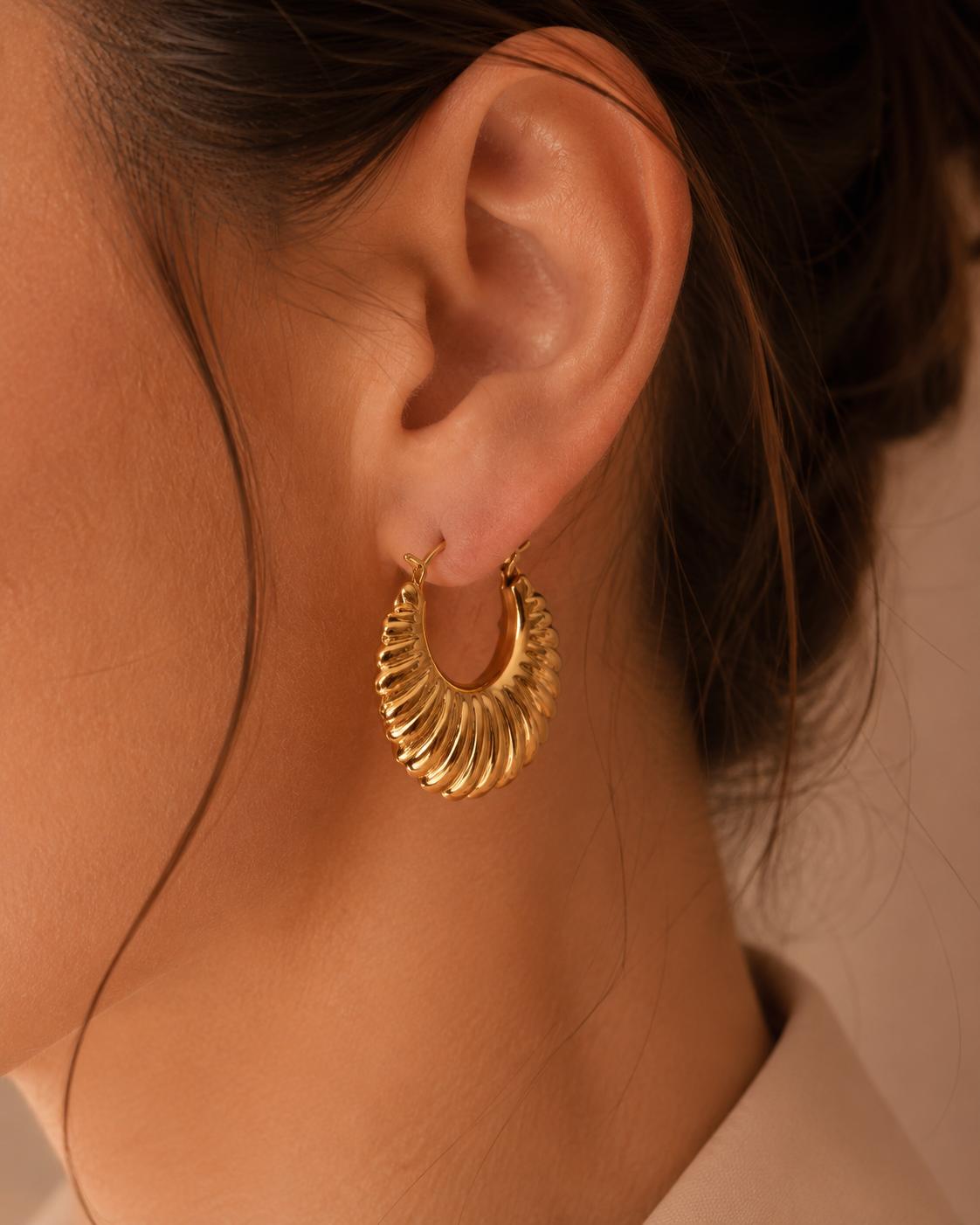 Argola Antonela | Aço Inoxidável 316L